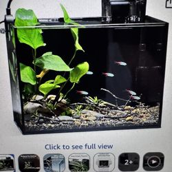 Nicrew 2.5 Gallon Fish Tank