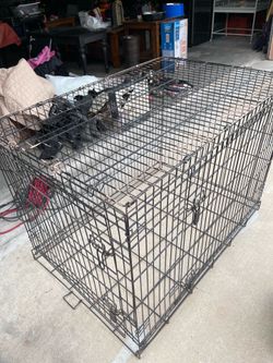 Dog cage 45$ or Bo