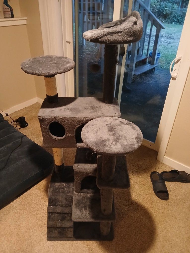 **MULTIPLE CAT ITEMS**MUST SEE**