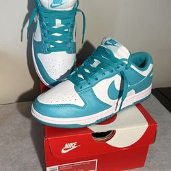Nike Women’s Dunk Low Next Nature “Dusty Cactus” Size 6"