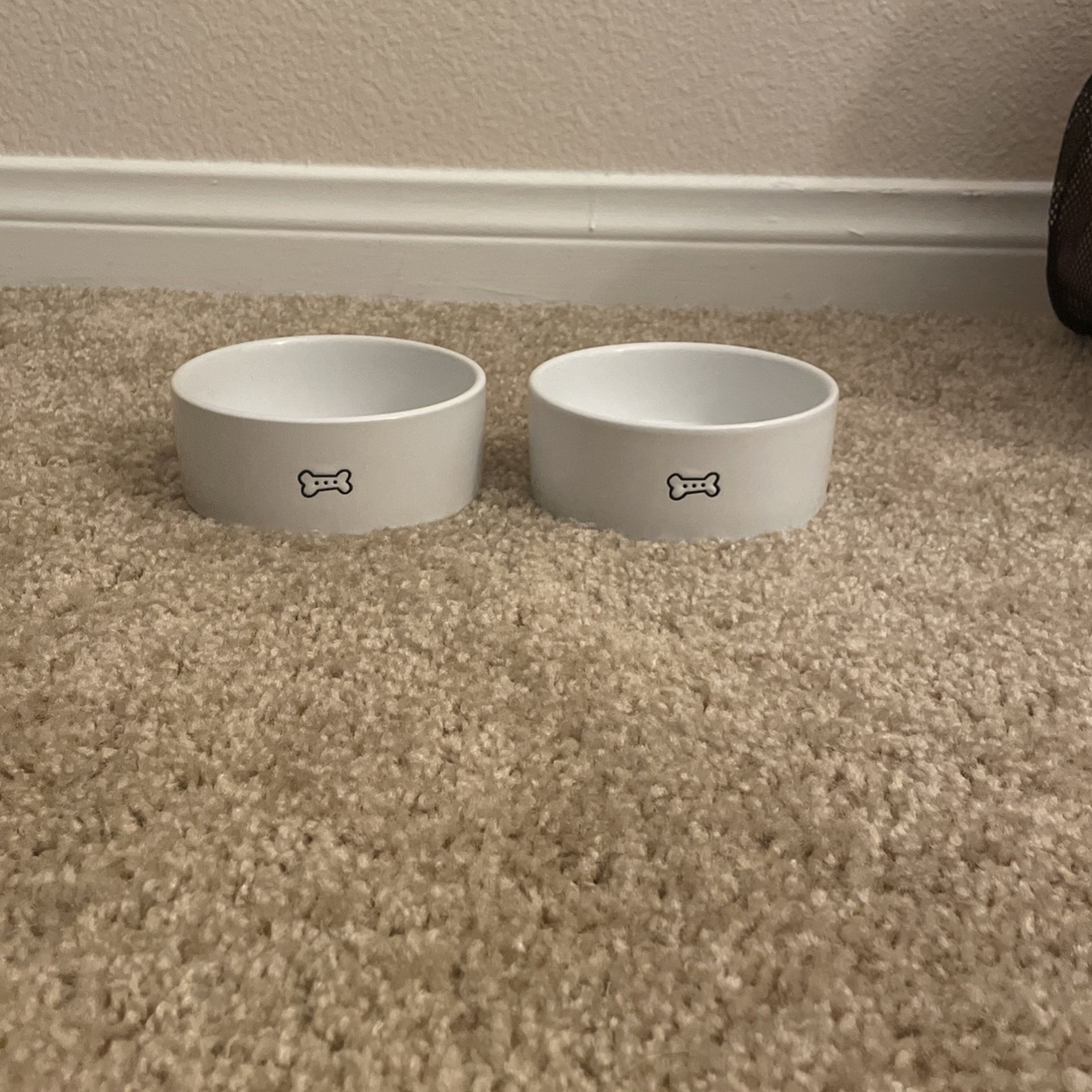 Dog Bowls