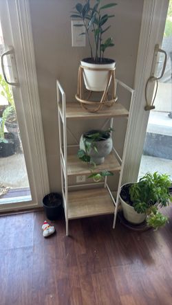 Shelf