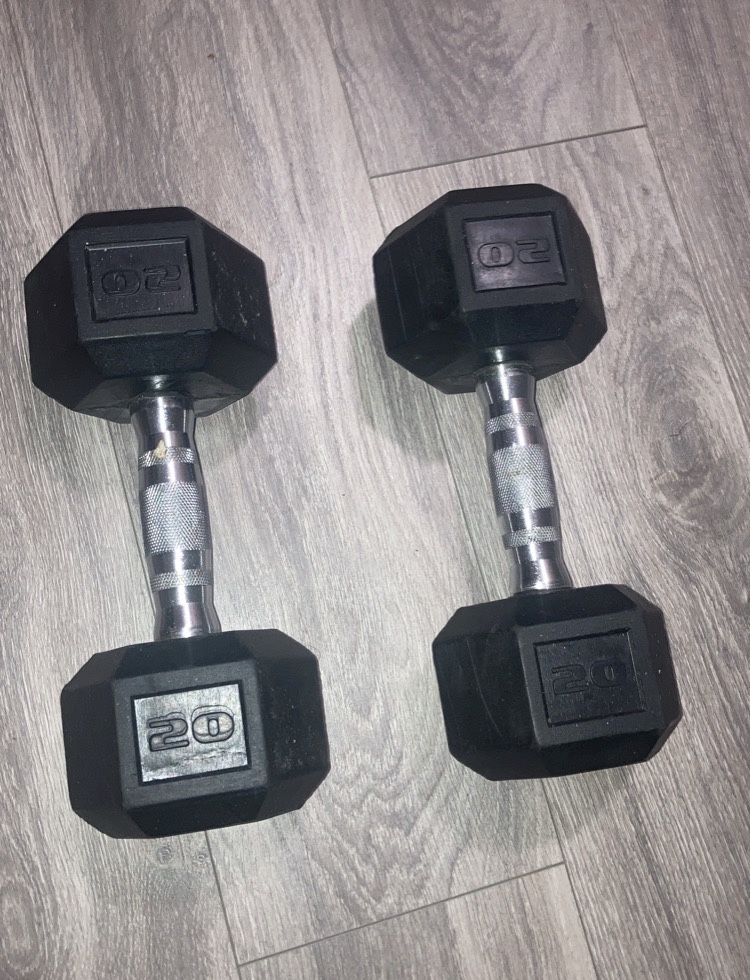 20 lb Dumbbells