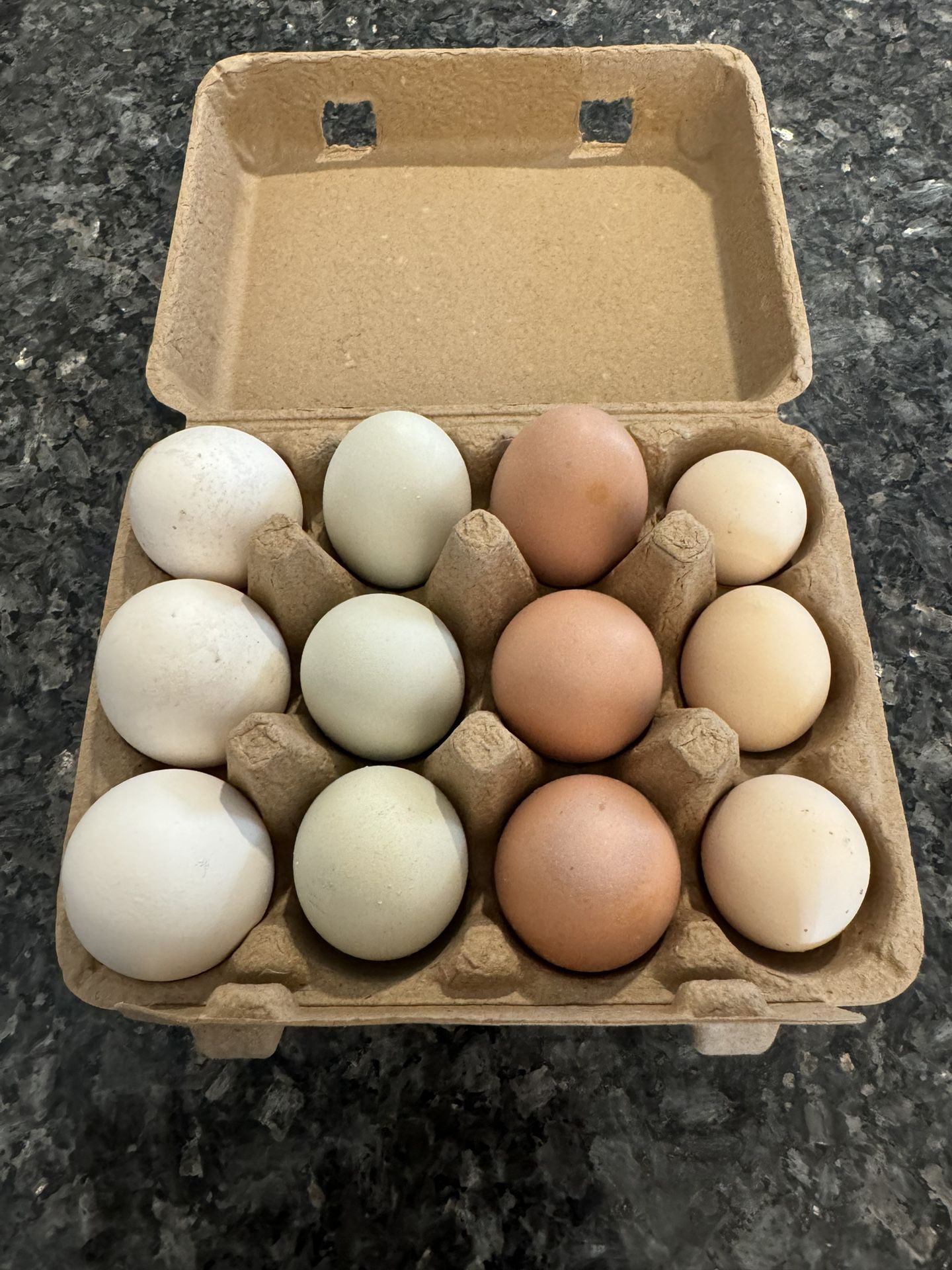 One Dozen fresh Eggs 