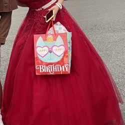 Special Occasion Dress!