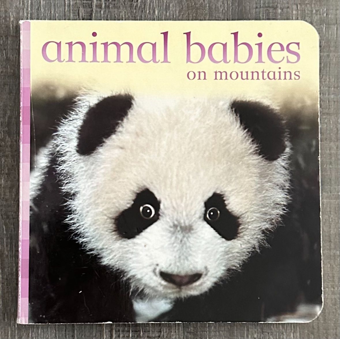 Animal Babies on Mountains Children’s Board Book