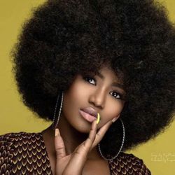 Afro Wig 