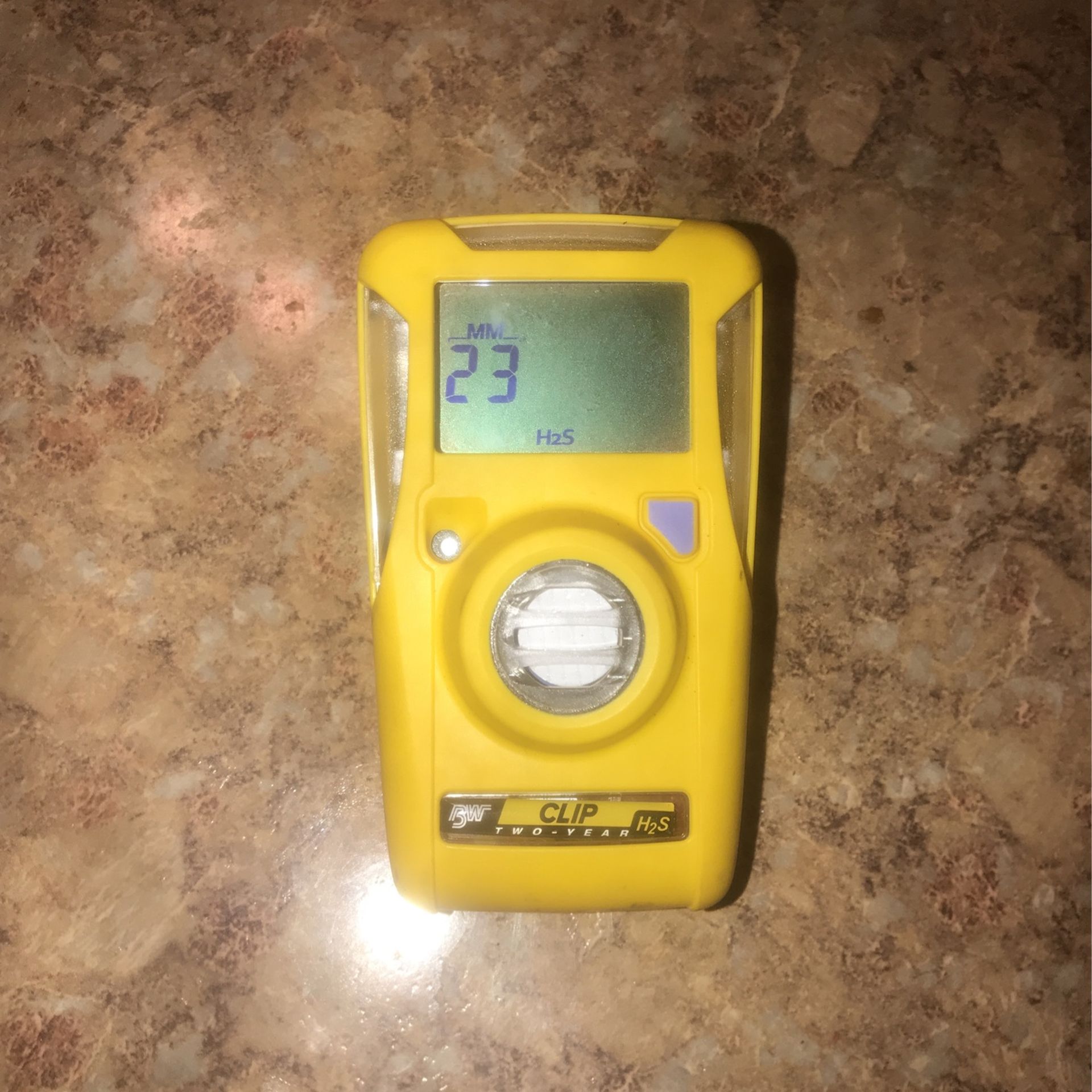 H2s Monitor