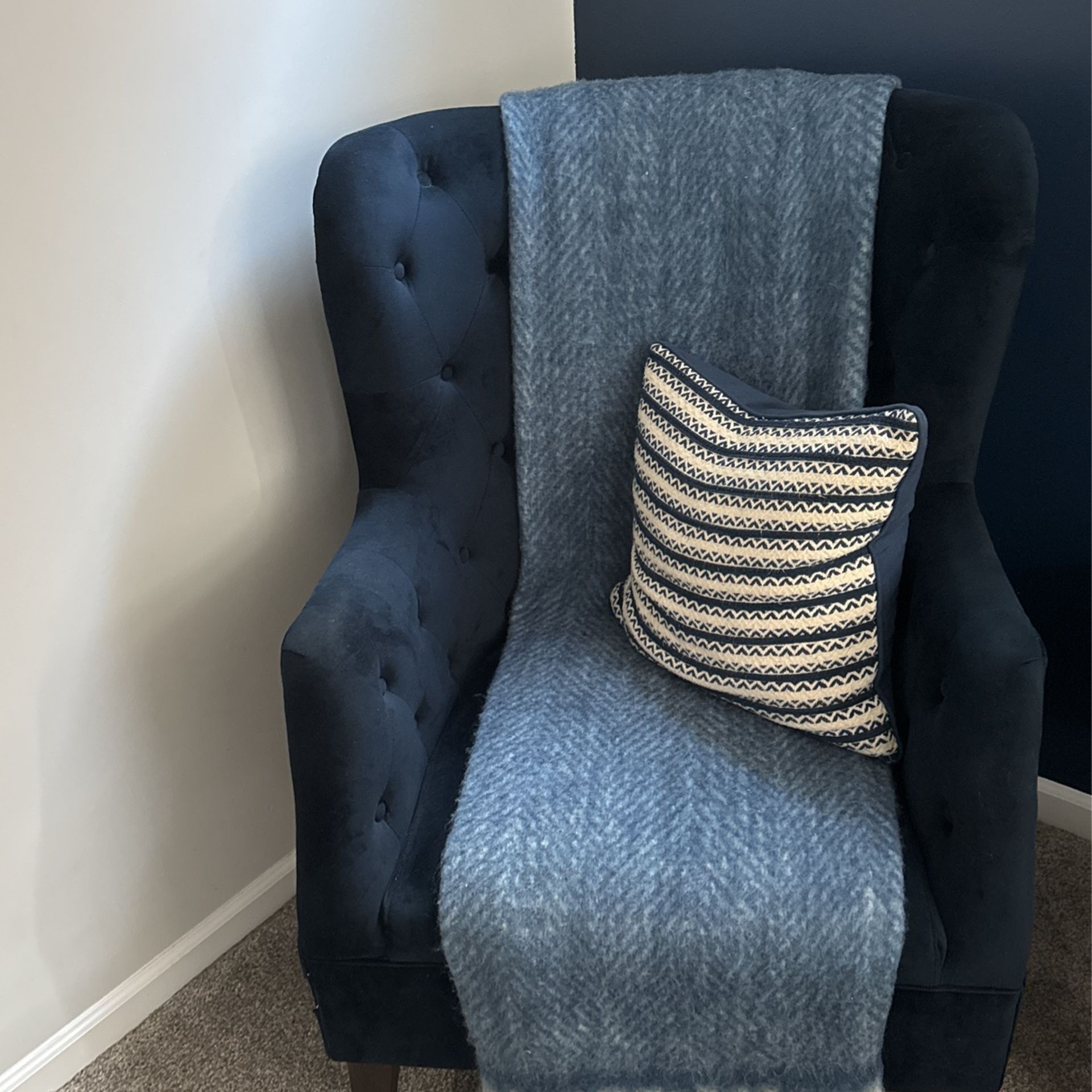 Accent Chair - Velvet Upholstery in  Navy Blue