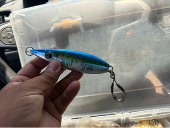 Sardine jig
