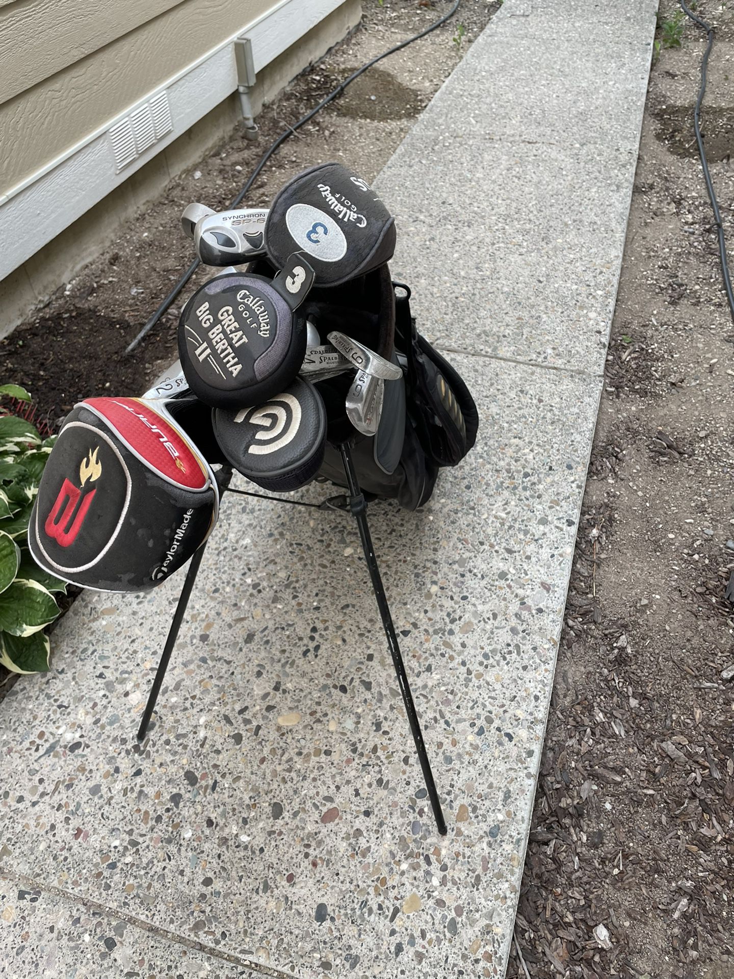 Golf Clubs, Bags, Bag Carrier 