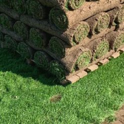 fresh sod 