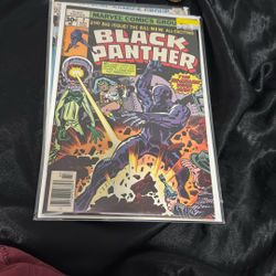 Black Panther 1977