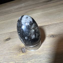 ORTHOCERAS Natural Earthy Fossil Carved Egg Crystal Gemstone Decor
