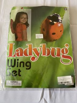 Lady Bug Wing Set for Kids