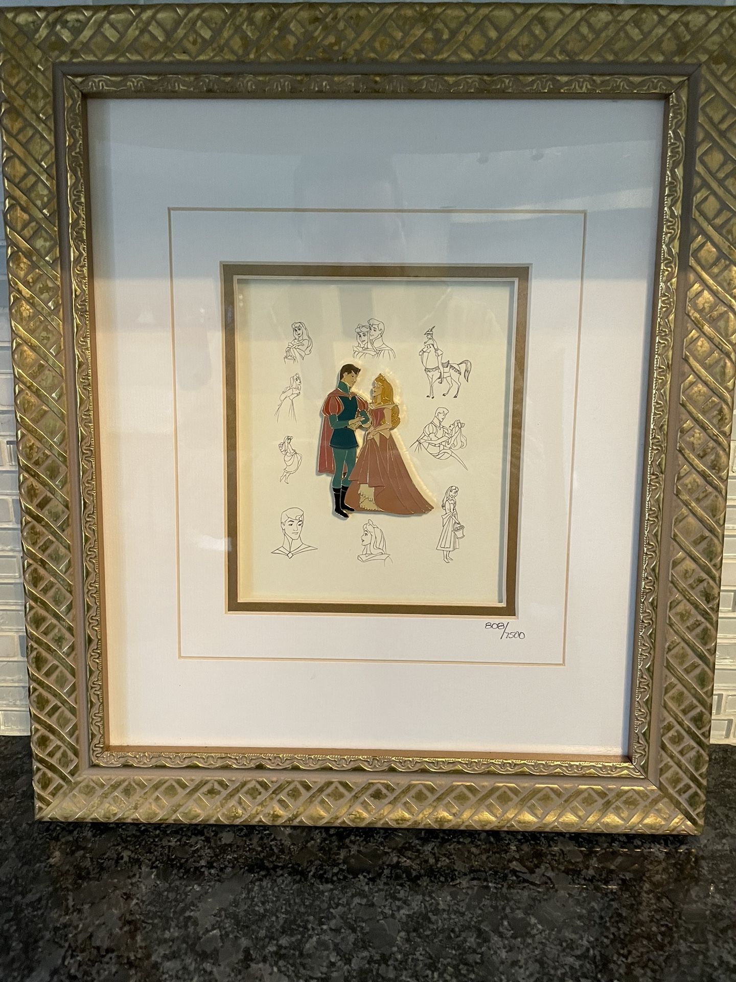 Disney Princess AURORA Sleeping Beauty Pin Limited Edition #808/7500 Collection Framed