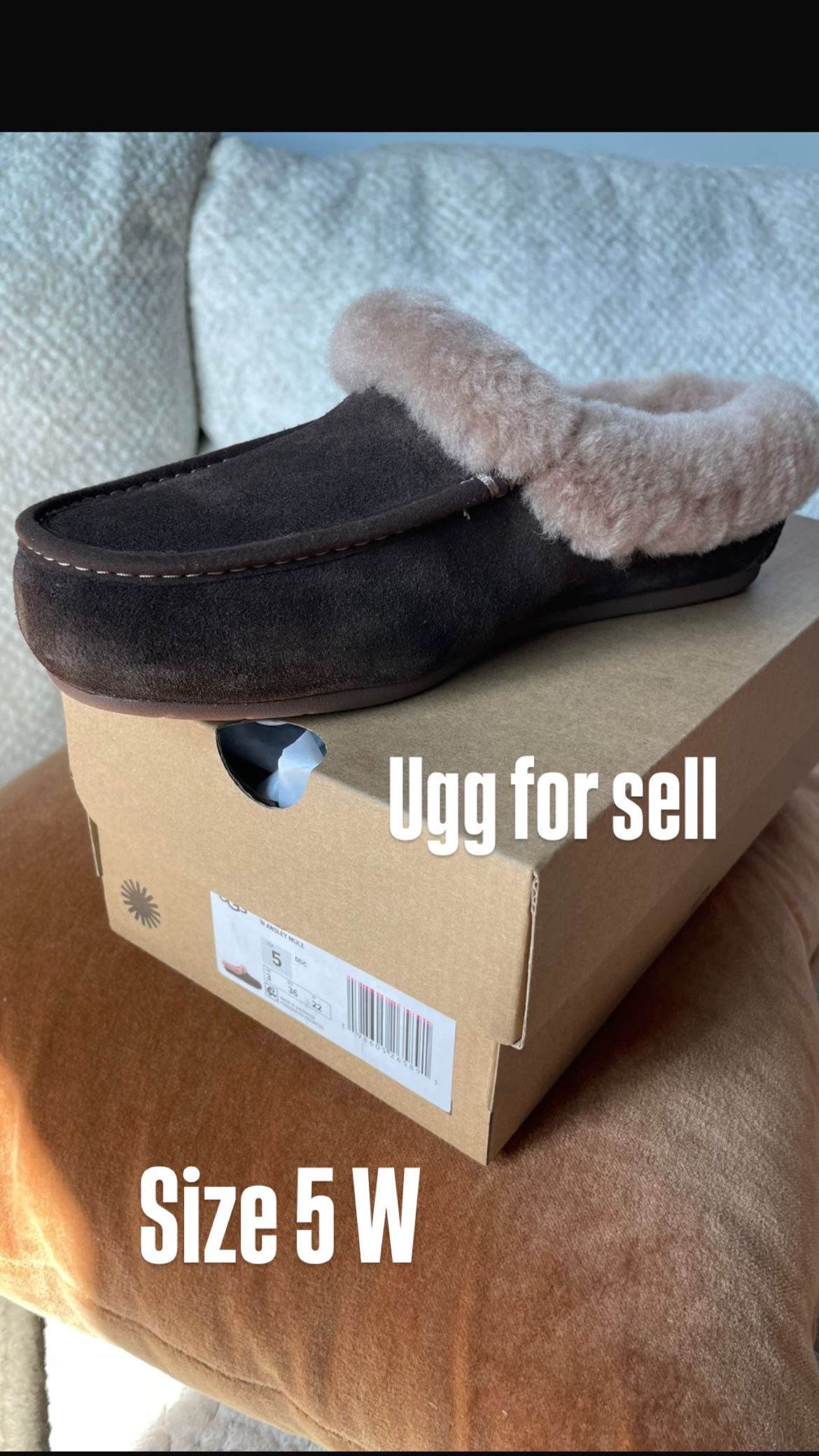 Ugg Slides 