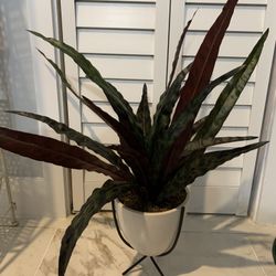 Artificial Plant
