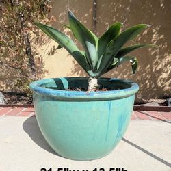 CERAMIC POTS!! 