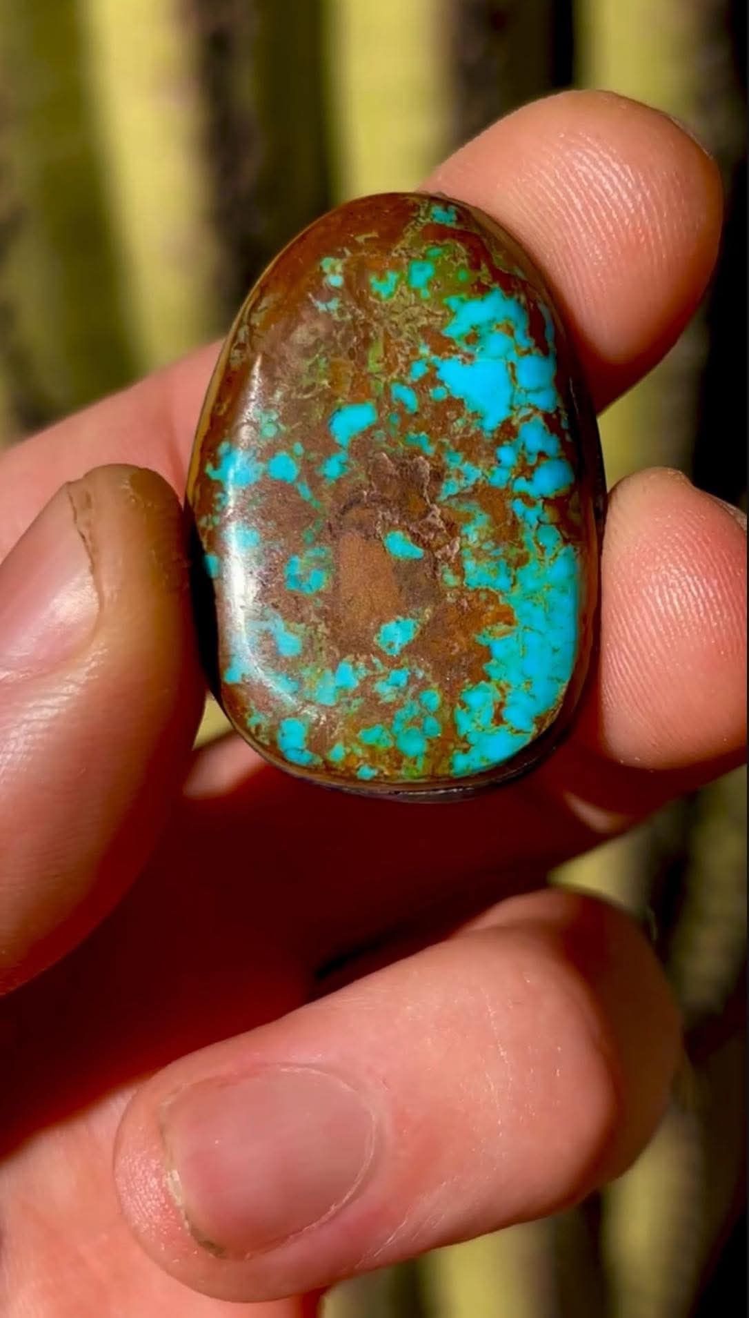 Turquoise Cabachon