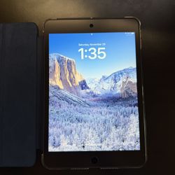 iPad Mini (5th gen WiFi) (256GB) 