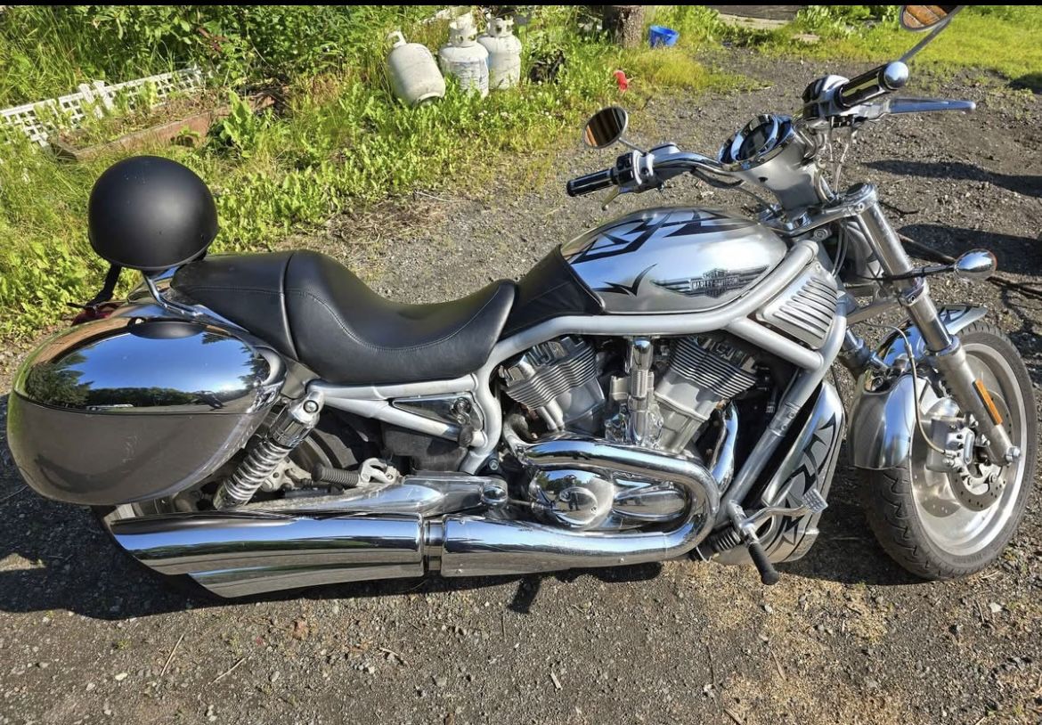 2002 Harley V-Rod