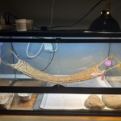 40 gallon terrarium 