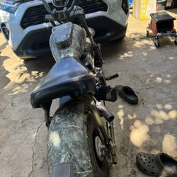Camo Massimo Engine