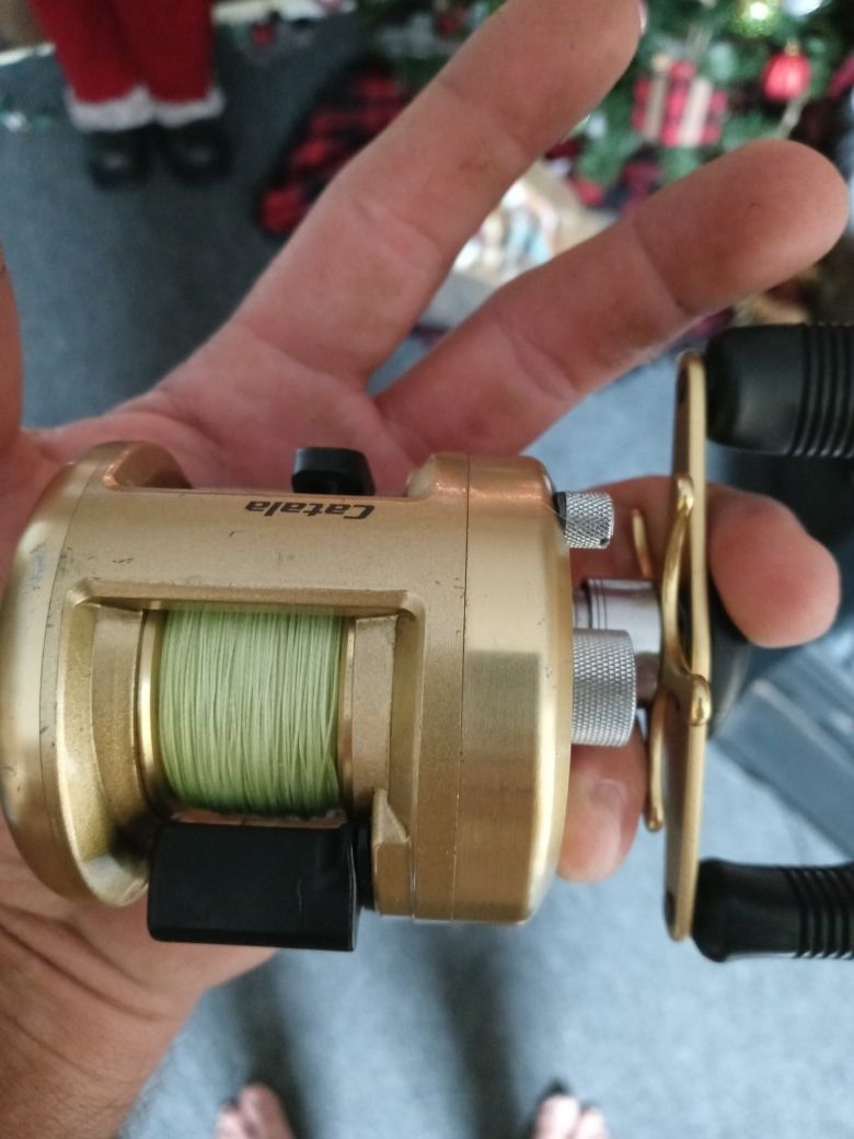 Shimano catala. Reel on custom rod