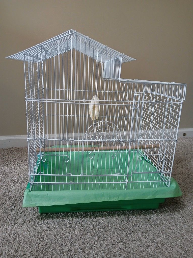 Bird Cage