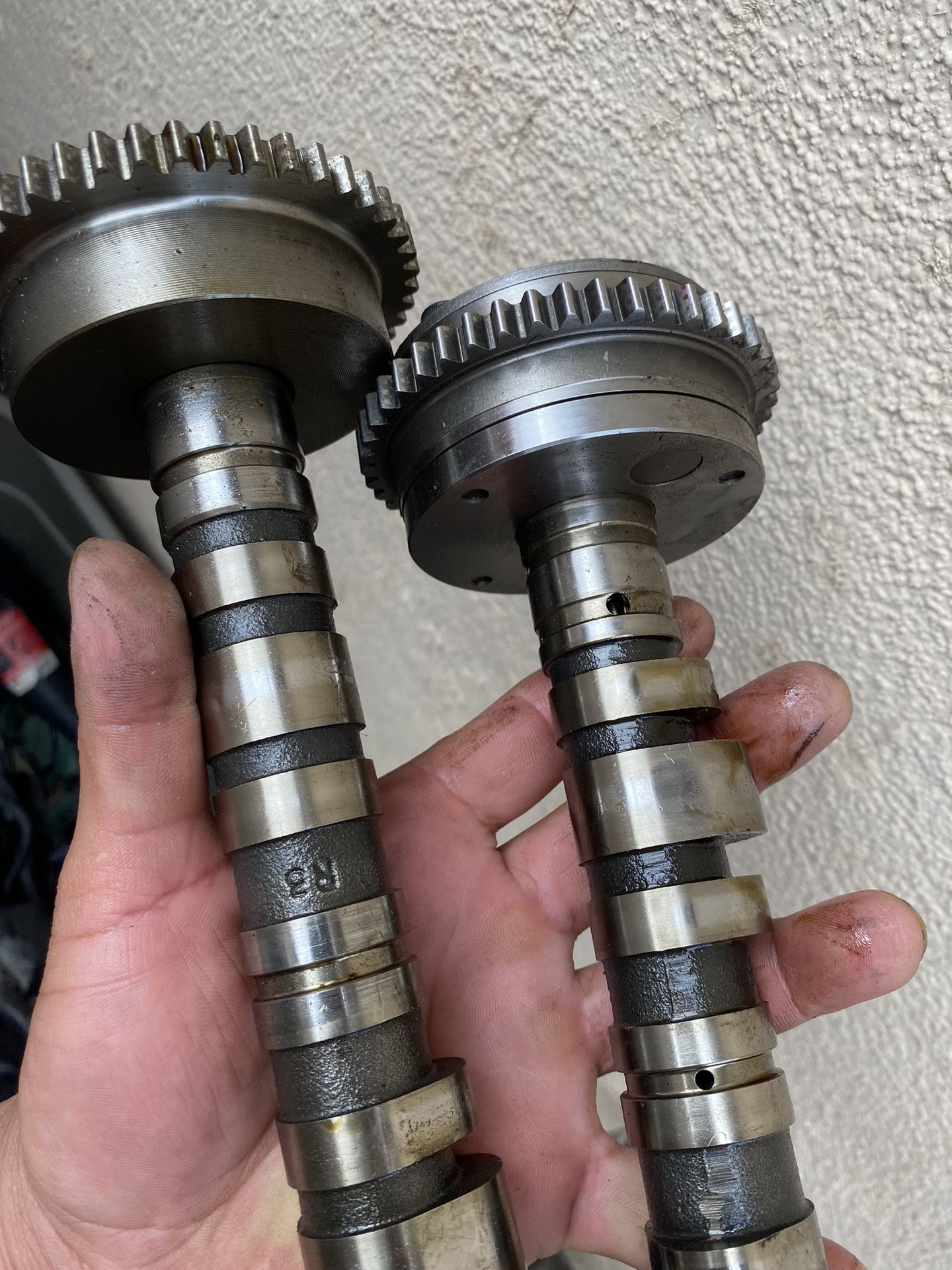 K20z3 Cams Camshafts