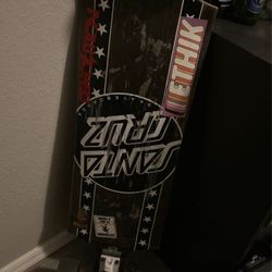 Santa Cruz Long Board