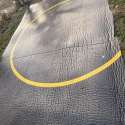 Wrestling Mat 