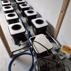 Hydroponic Lot Rdwc Led Grow Lights