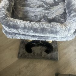 Cama De Gato 