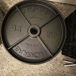 Set 45lbs Rogue Deep Dish Plates