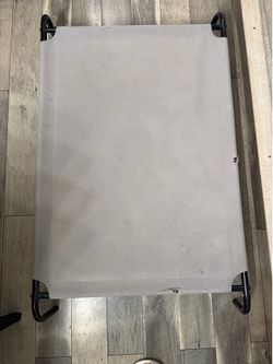 Large elevated dog bed