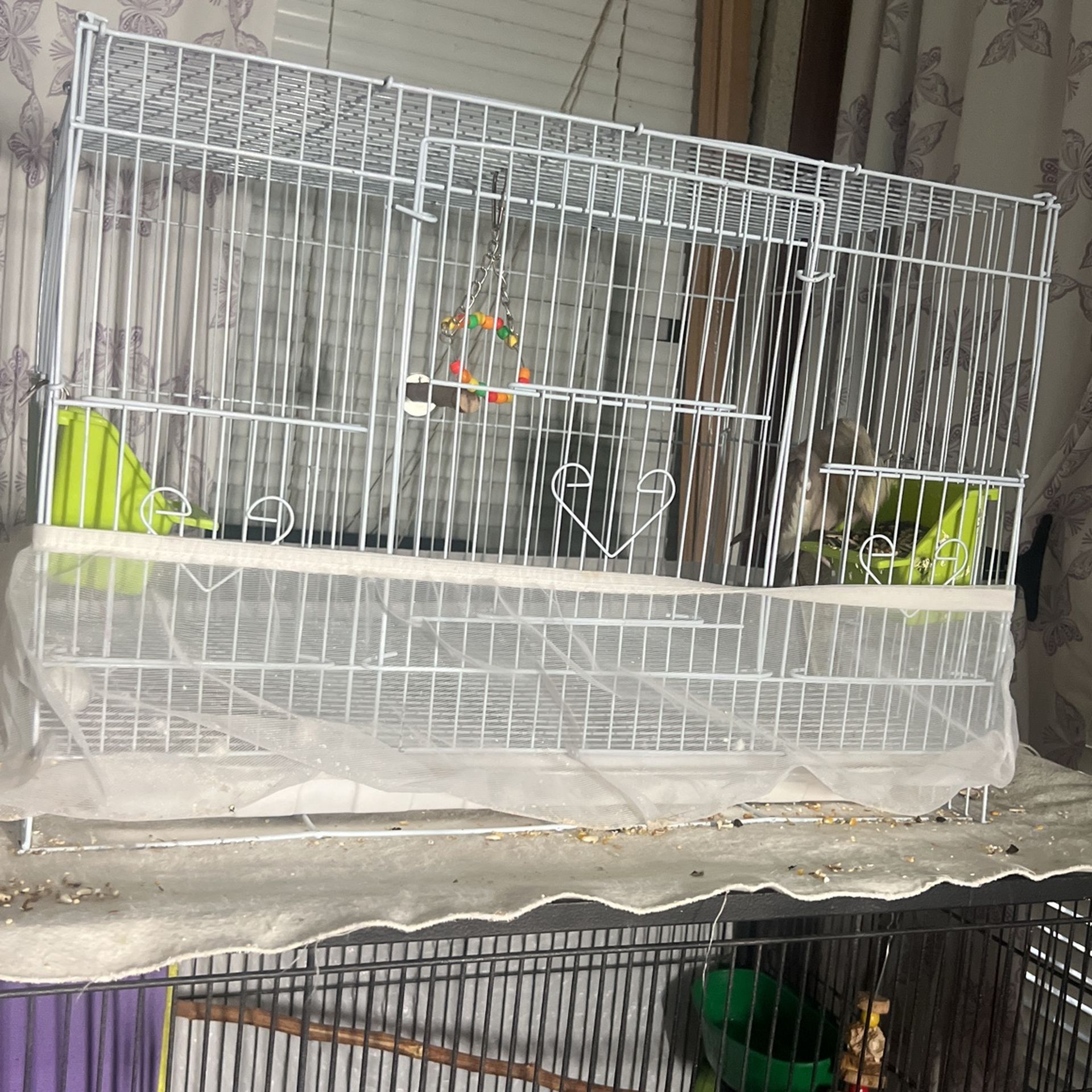Bird Cage