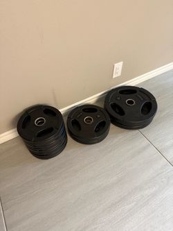Vision Fitness Weight Plates