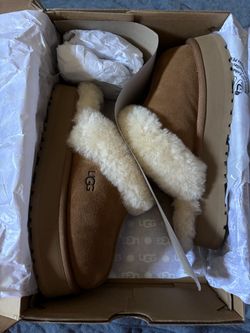 UGG Disquette Slippers