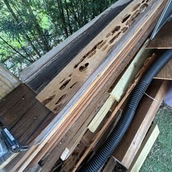 RARE Cedar Wood