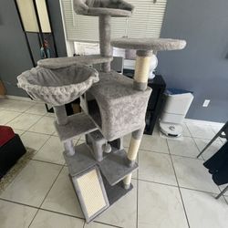 CATS TREEHOUSE 