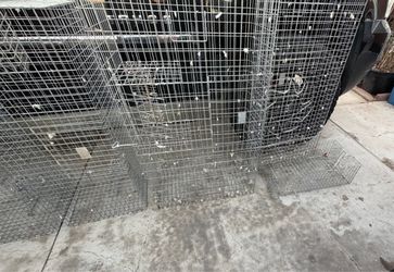 Pigeon cages