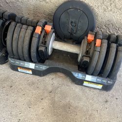 NordicTrack Dumbbell’s 
