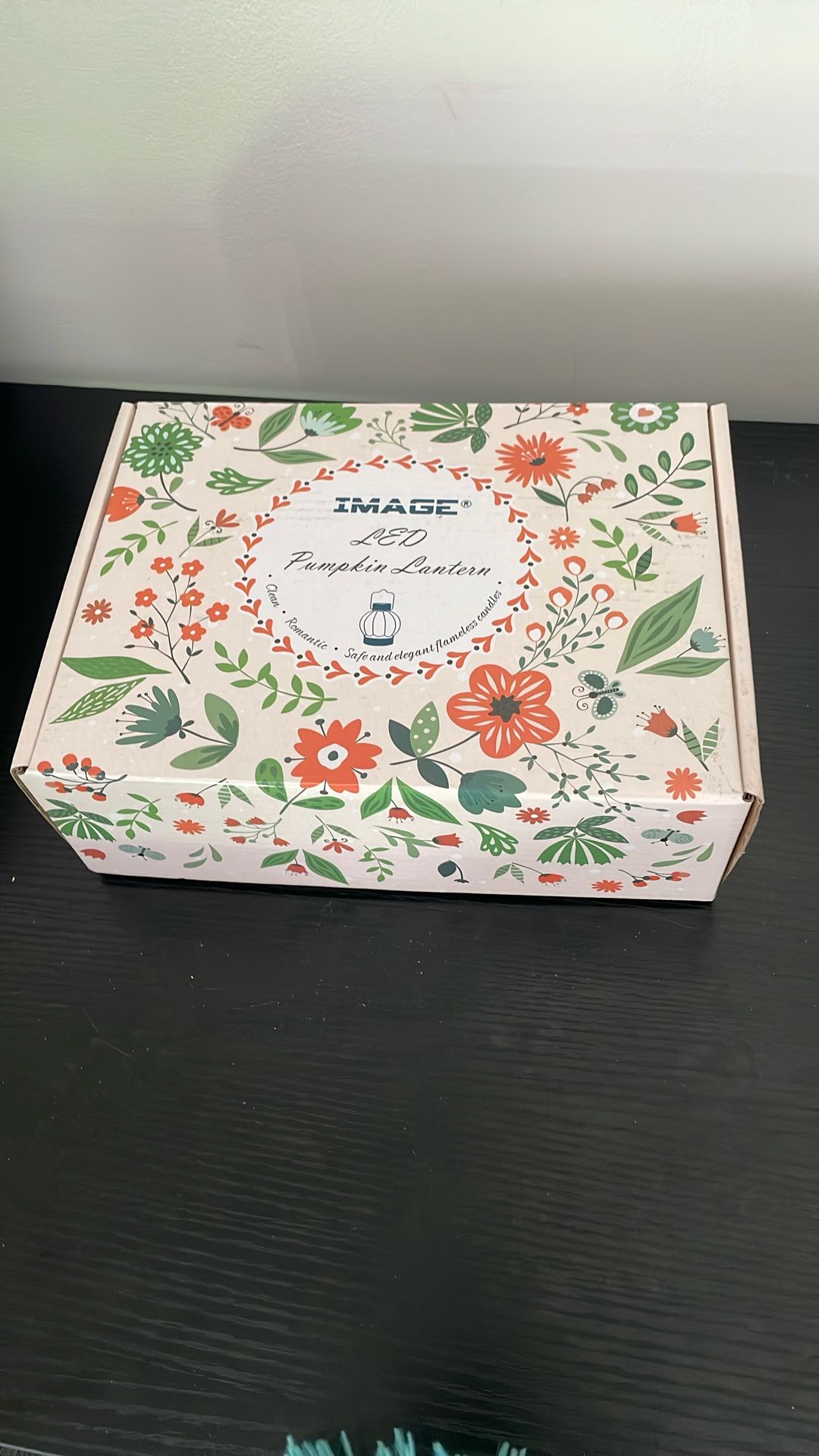 Pumpkin LED lanterns