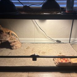 Reptile/bearded Dragon Tank 