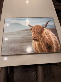 Framed wall art