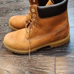 Timberlands MENS 11