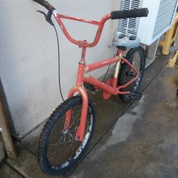 20-in Bike