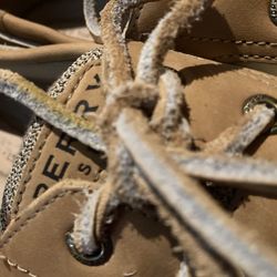 Sperry Shoes